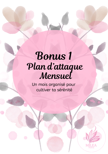 Bonus 1 – Plan d’attaque mensuel